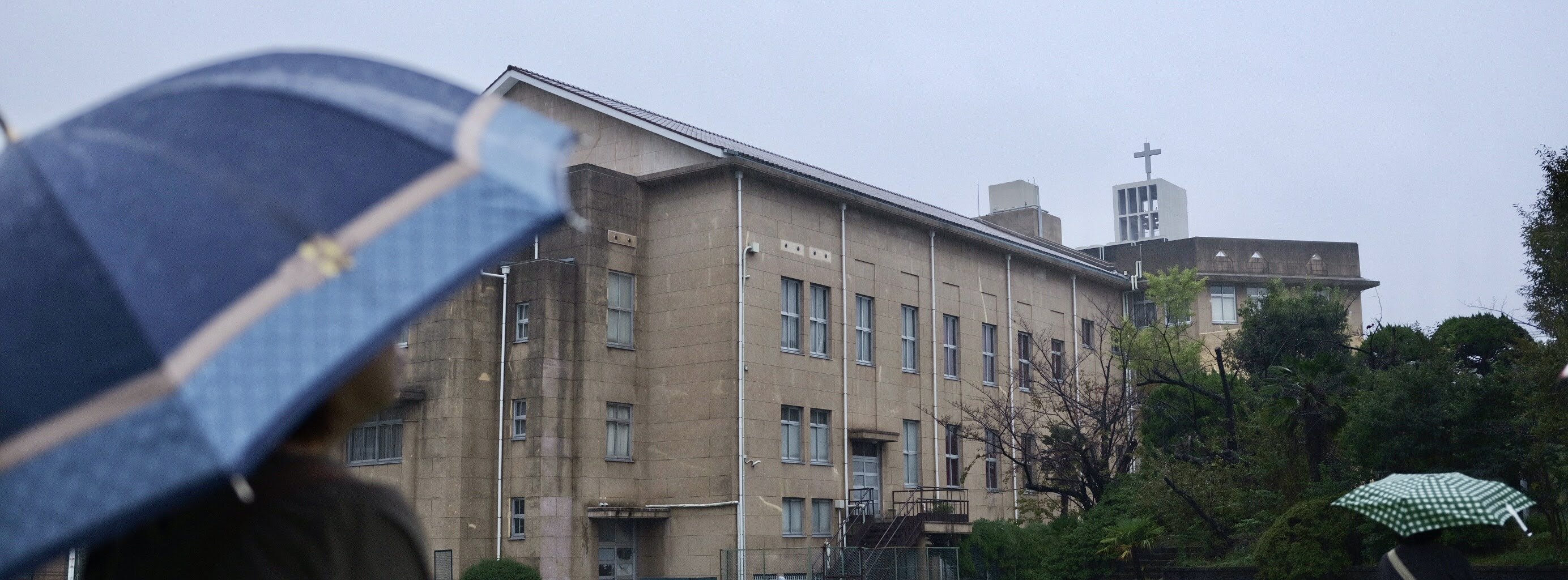 20241102-2.jpg